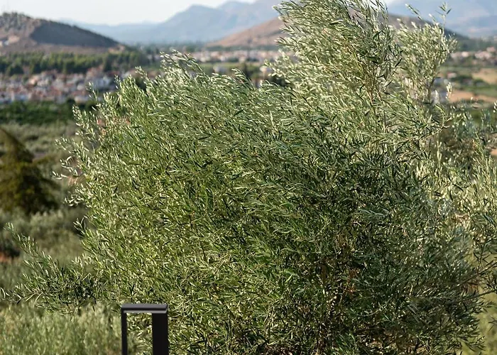 Εξοχικό σπίτι Doceo Refined Living