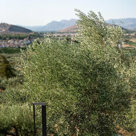 Εξοχικό σπίτι Doceo Refined Living